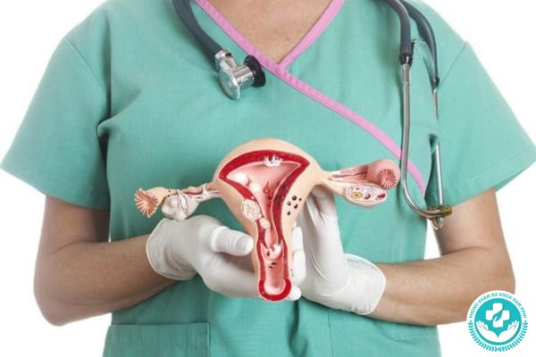 Cổ tử cung là gì?