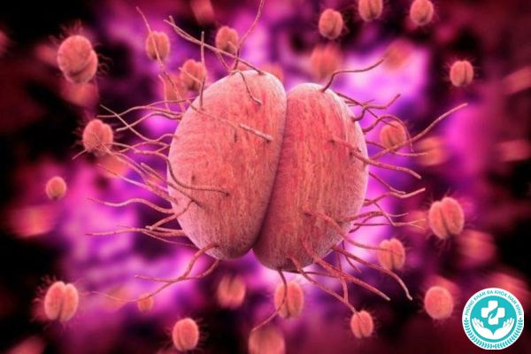 Một số câu hỏi thường gặp về bệnh lậu