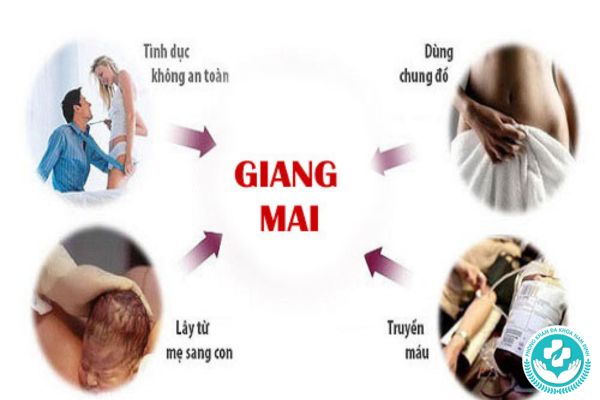 Con đường lây nhiễm của bệnh giang mai