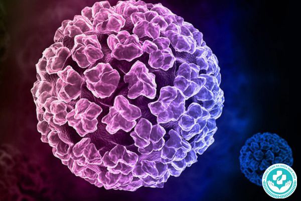 Nguyên nhân gây ra bệnh sùi mào gà